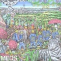 Mt Eden - Gambler
