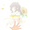 晚萧 - sunflower