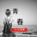 王展鹏 - 烟火 (纯音乐)
