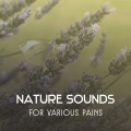 Natural Treatment Zone - Yoga on the Beach