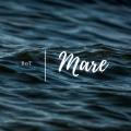 Bot - Mare
