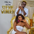 Shatta Wale、Wendy Shay - Stevie Wonder