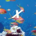 X-Coast、DJ Rada - Mu Tai (Borrowed Identity Remix)