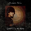 Flaer Smin - Echoes of the Past (Reprise)