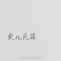 郎朗同学 - 东北民谣