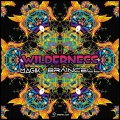 Braincell、Magik - Wilderness