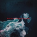 Various Artists - Are You Gonna Go My Way (Complete version originally performed by Lenny Kravitz)