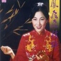 凤飞飞 - 几度花落时