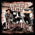 montgomery gentry - Damn Right I Am