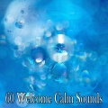 Brain Study Music Guys - Success