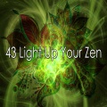 Meditation Zen Master - Success