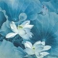 特曼 - 空城