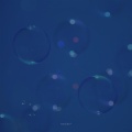 奶油飞行员 - love scenario