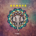 Electronic Pulse - Bumaye
