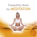 Yoga Music - Sleep Music Lullabies
