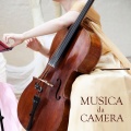 Musica da Camera Orchestra - Classical Music Chamber, Musica da Camera per Banchetto