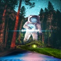 Craig Karpslis - Spaceship