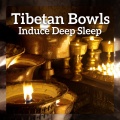 Deep Sleep Maestro Sounds - Tibetan Ritual