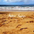 Andrew Applepie - Tropical Thunder