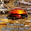 Serenity Music Relaxation - Balancing Music for Body and Soul