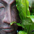 Nature Sounds、Lullabies for Deep Meditation - Water Gong Yoga