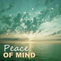 Feel Better Unit - Music to Quiet Your Mind