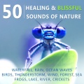 Sound Therapy Masters - Contemplation & Spirituality