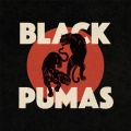 Black Pumas - Black Moon Rising