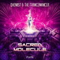 Qhemist、The Trancemancer - Sacred Molecule