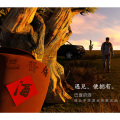 洪凯 - 拥有