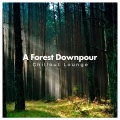 Chillout Lounge - Forest Perfection