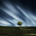 White Noise Baby Sleep、Chillout Lounge、Sleep Music - Ambient Textures