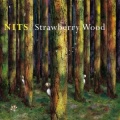 Nits - The Hours