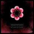 jaceo、Vedic - Munecas