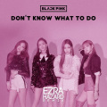 Ezra Hazard、BLACKPINK - Don't Know What To Do (remix：Ezra Hazard)
