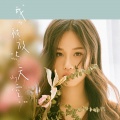 孟慧圆 - 美美