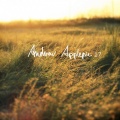 Andrew Applepie - Take It Easy