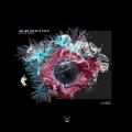 Haliam Nolse、YAR.D - Collateral