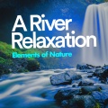 Elements of Nature - Beauty in Bird Song