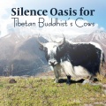 Relaxation and Meditation、Meditation、Healing、SPA、Ambient Music Therapy (Deep Sleep、Relaxation) - Piano Relaxation