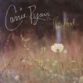 Carrie Ryan - Somebody I Used to Know