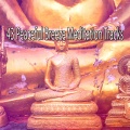 Outside Broadcast Recordings - Lost in the Forest