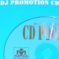 Shakira、Rihanna - Cant Remember To Forget You (Fedde Le Grand Mix)