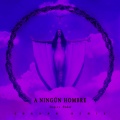 ROSALÍA、Shahan - A NINGÚN HOMBRE (Cap.11_ Poder)(Shahan Remix)