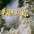王宏伟 - 中国忘不了你