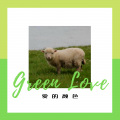 六月、张思思、苏可可 - 巴塞上头