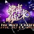 刘劲 - 美猴王