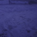 黄子缘_ - 姑娘,今夜我不想睡觉,只想睡你