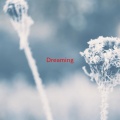 Amanda McBroom - Dreaming (Complete version originally performed by Amanda McBroom)