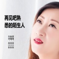 吴小林 - 再见吧熟悉的陌生人